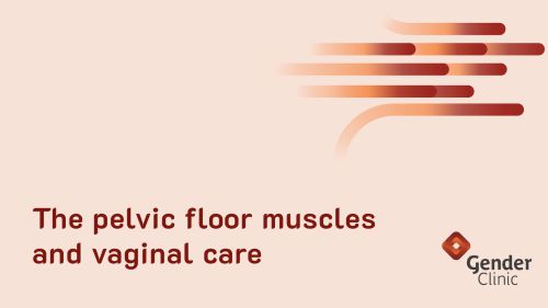 The pelvic floor muscles and vaginal care